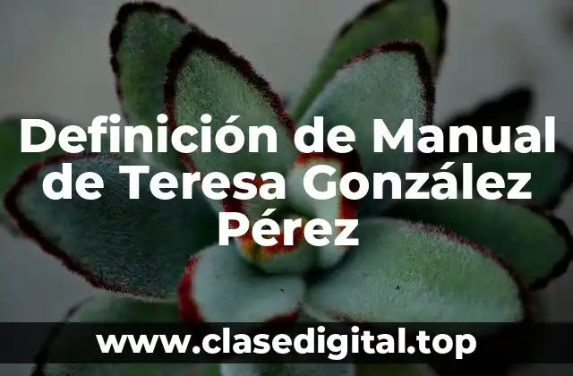 Definición de Manual de Teresa González Pérez