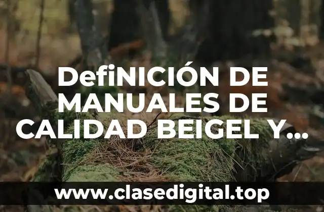 DefiNICIÓN DE MANUALES DE CALIDAD BEIGEL Y SALATINO 2015