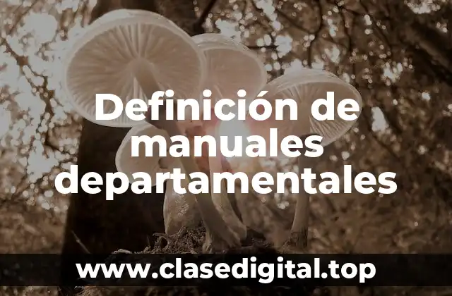 Definición de manuales departamentales