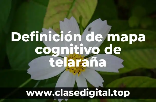 Definición de mapa cognitivo de telaraña