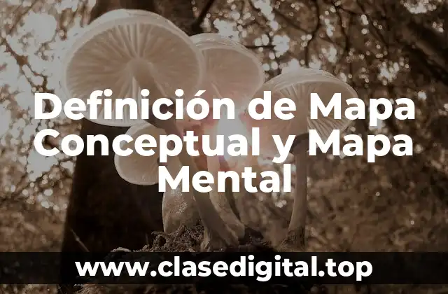 Definición de Mapa Conceptual y Mapa Mental