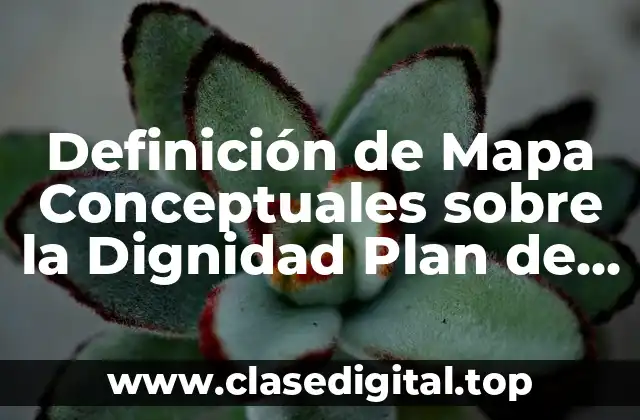 Definición de Mapa Conceptuales sobre la Dignidad Plan de Vida