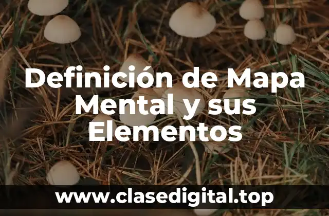 Definición de Mapa Mental y sus Elementos