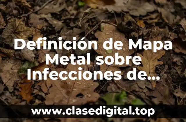 Definición de Mapa Metal sobre Infecciones de Transmisión Sexual