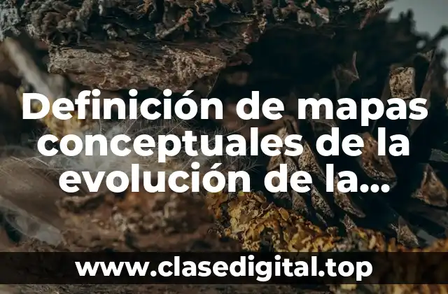 Definición de mapas conceptuales de la evolución de la contaminación
