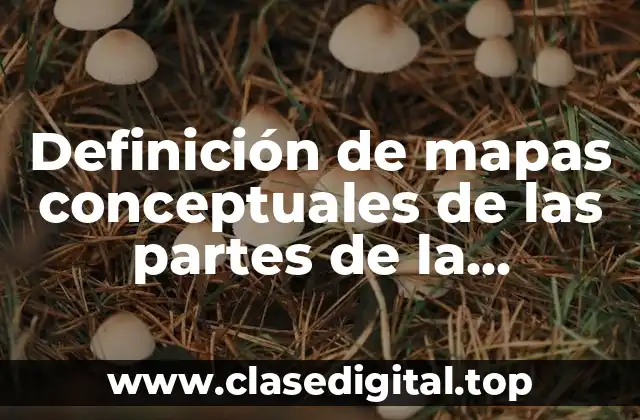 Definición de mapas conceptuales de las partes de la computadora