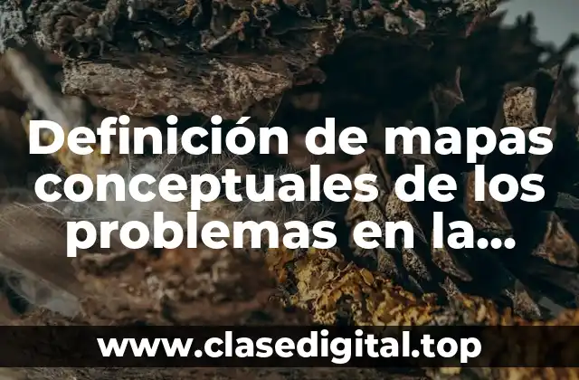 Definición de mapas conceptuales de los problemas en la comunidad