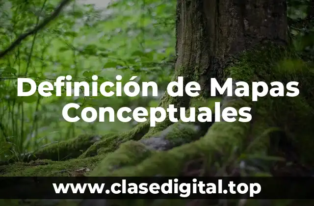 Definición de Mapas Conceptuales