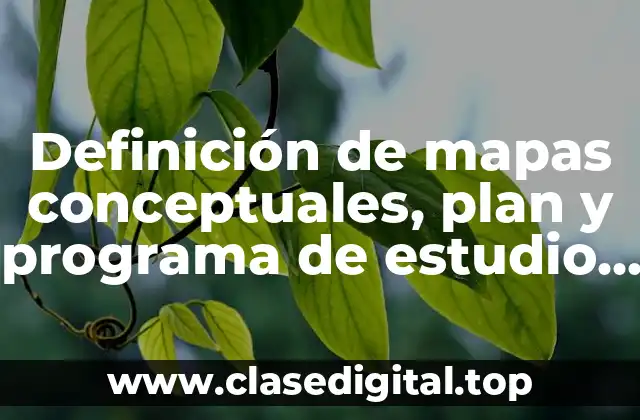 Definición de mapas conceptuales, plan y programa de estudio 2011