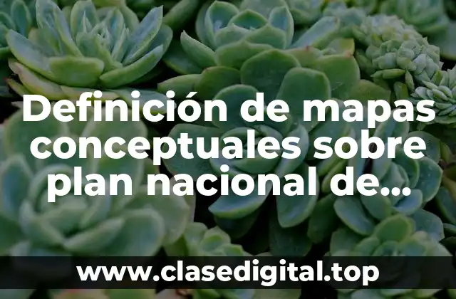 Definición de mapas conceptuales sobre plan nacional de salud