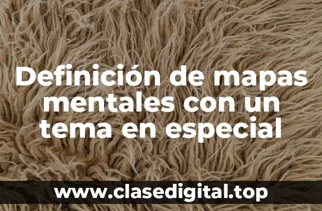 Definición de mapas mentales con un tema en especial