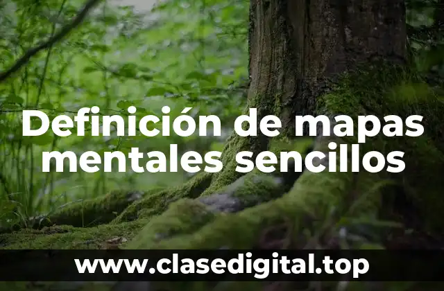 Definición de mapas mentales sencillos