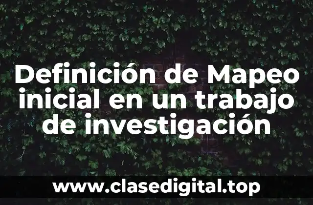 Definición de Mapeo inicial en un trabajo de investigación