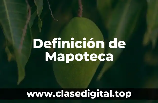 Definición de Mapoteca