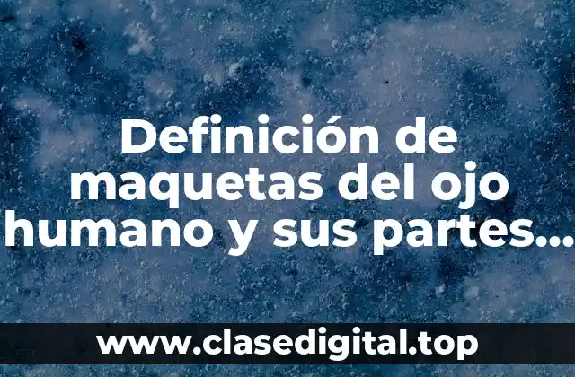 Ejemplos de maquetas del ojo humano y sus partes plastilina