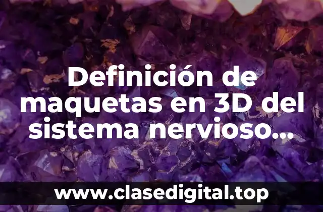 Definición de maquetas en 3D del sistema nervioso con base