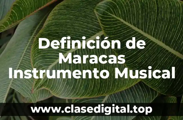 Definición de Maracas Instrumento Musical