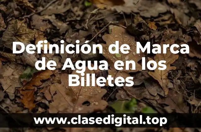 Definición Técnica de Marca de Agua en los Billetes