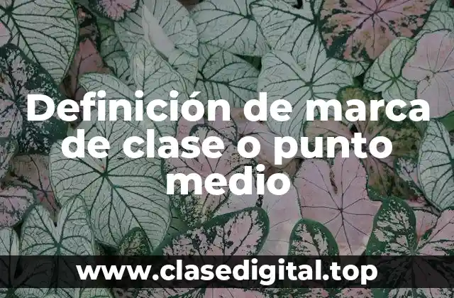 Definición de marca de clase o punto medio