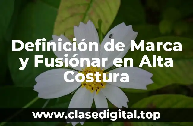 Definición de Marca y Fusiónar en Alta Costura