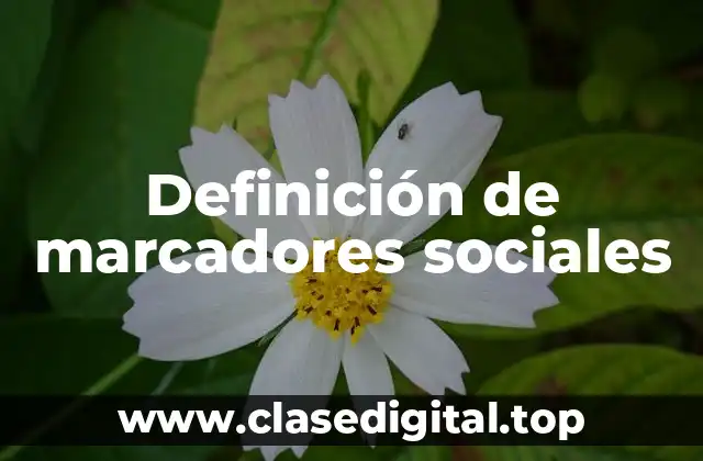 Definición de marcadores sociales