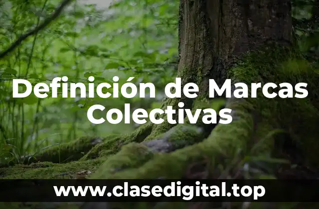 Definición de Marcas Colectivas