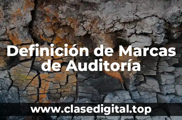 Definición Técnica de Marcas de Auditoría