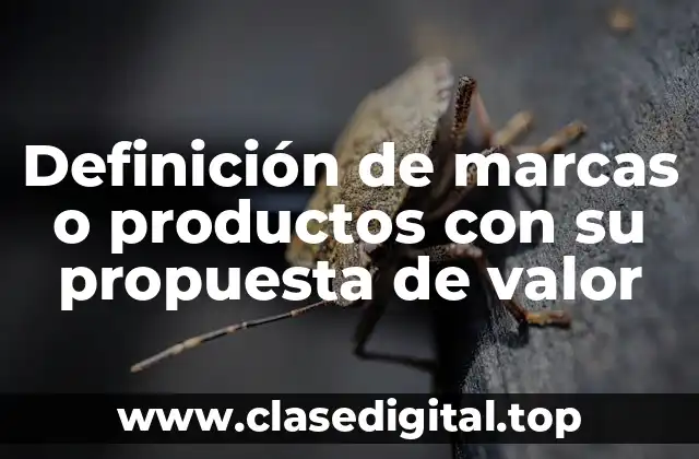 Definición de marcas o productos con su propuesta de valor