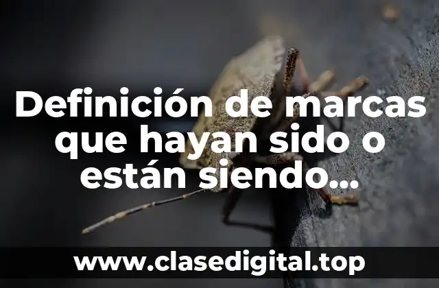 Definición de marcas que hayan sido o están siendo disputadas