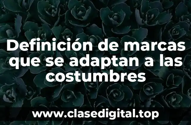 Definición de marcas que se adaptan a las costumbres