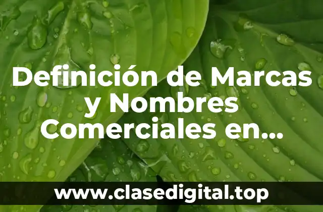 Definición de Marcas y Nombres Comerciales en Contabilidad