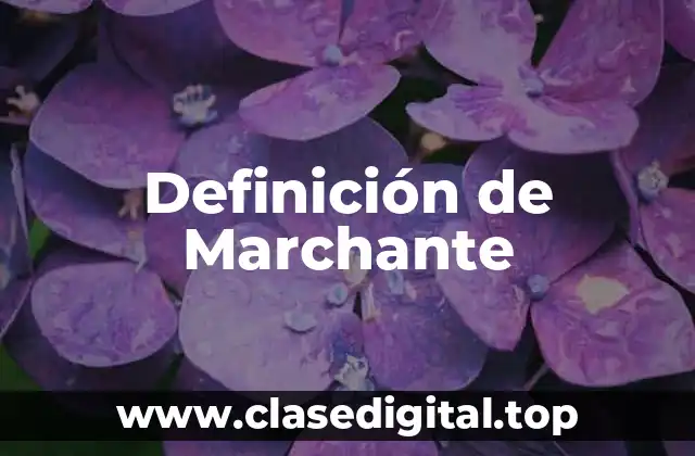 Definición de Marchante