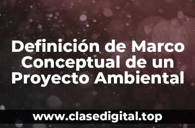 Definición de Marco Conceptual de un Proyecto Ambiental
