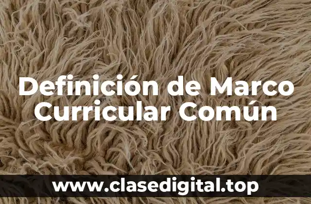 Definición de Marco Curricular Común
