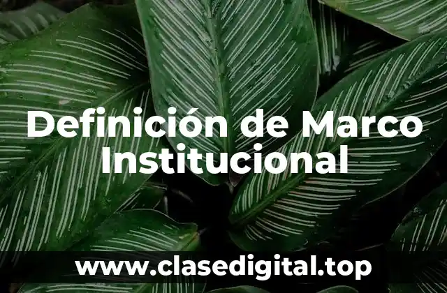 Definición Técnica de Marco Institucional