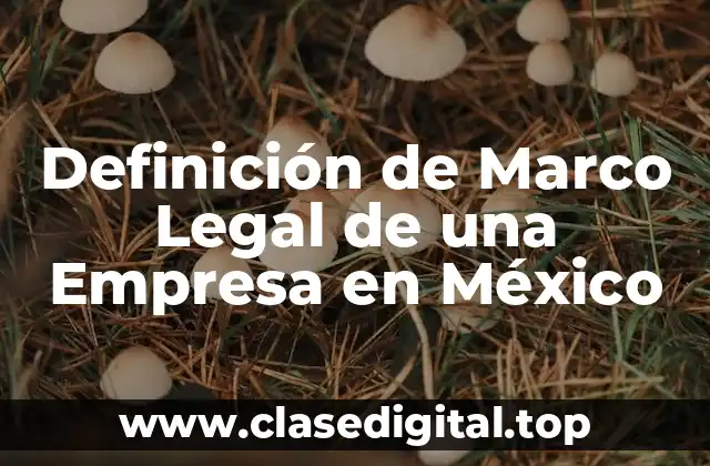 Definición técnica del Marco Legal de una Empresa en México