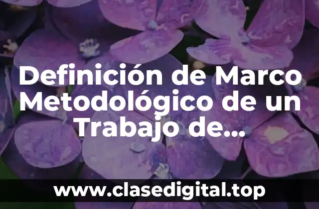 Definición de Marco Metodológico de un Trabajo de Investigación