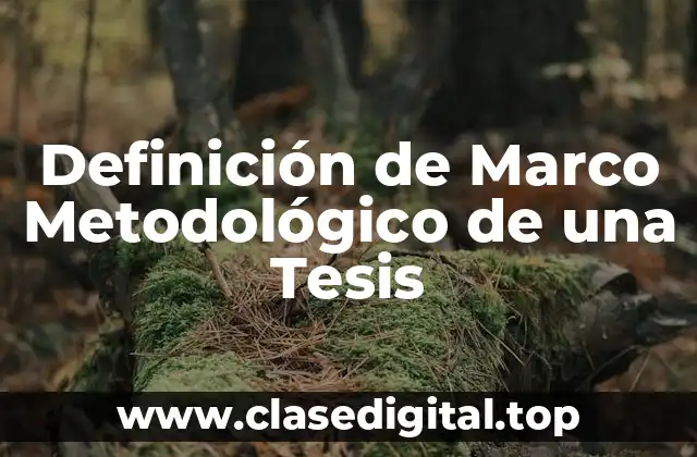 Definición de Marco Metodológico de una Tesis