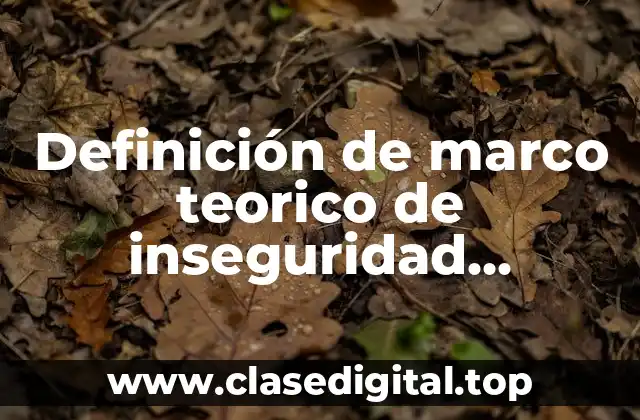 Definición de marco teorico de inseguridad ciudadana en México