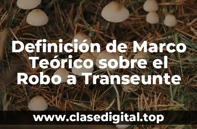 Definición de Marco Teórico sobre el Robo a Transeunte