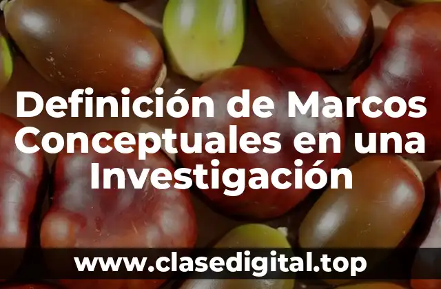 Ejemplos de Marcos Conceptuales en una Investigación