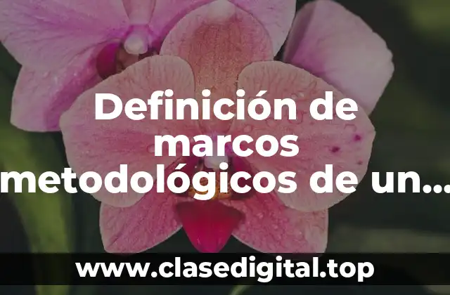 Definición de marcos metodológicos de un proyecto