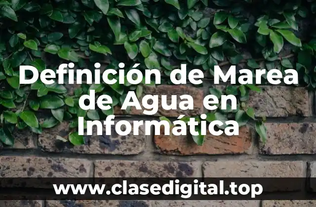 Definición de Marea de Agua en Informática