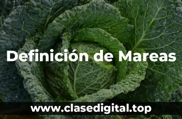 Definición técnica de Mareas