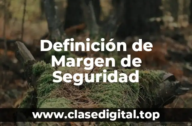 Definición de Margen de Seguridad