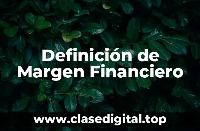 Definición de Margen Financiero