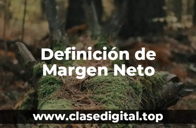 Definición de Margen Neto