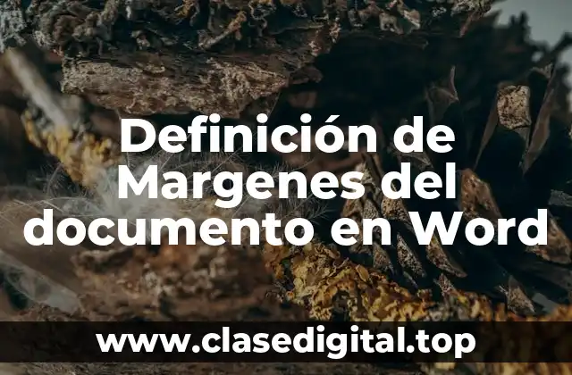 Definición de Margenes del documento en Word