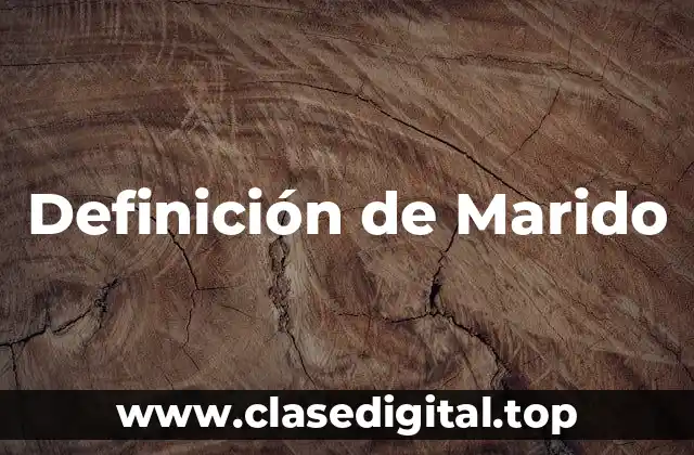 Definición de Marido