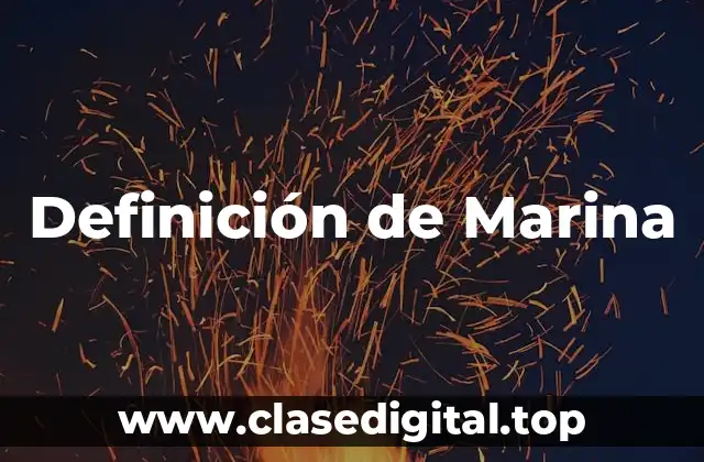 Definición de Marina